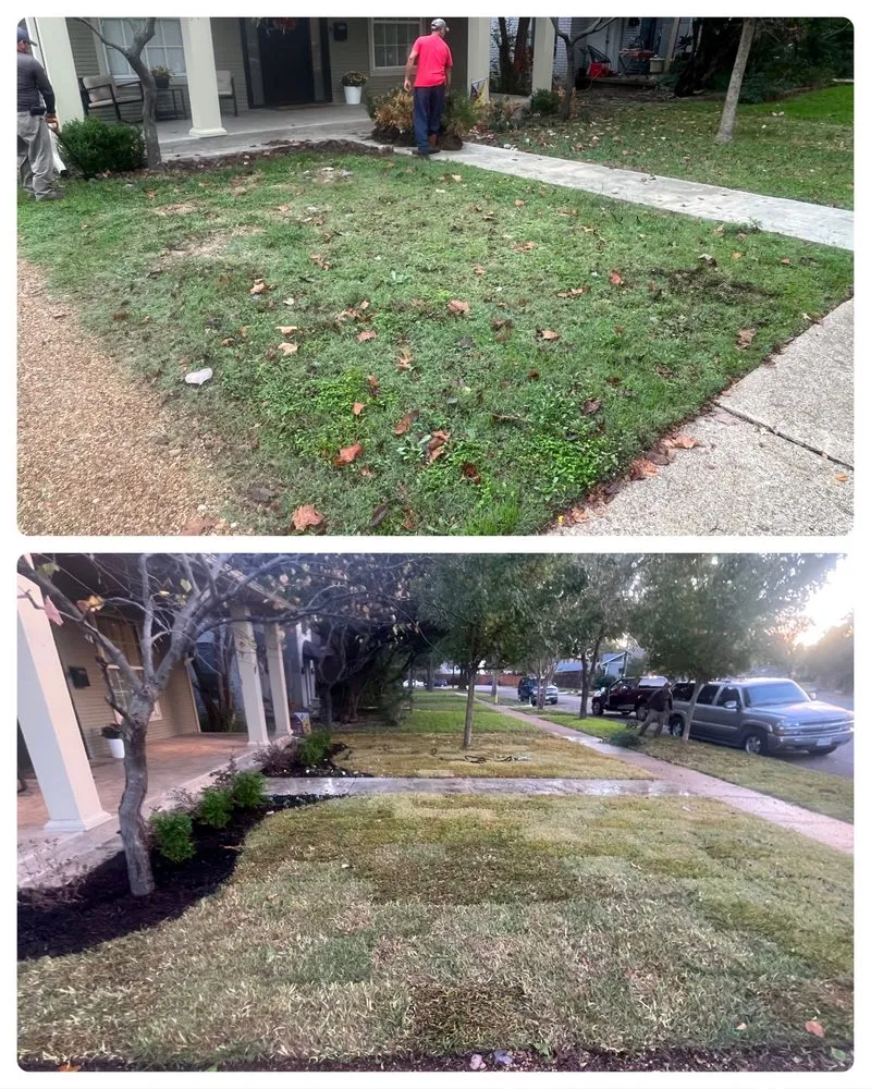 Reliable landscaping services in Dallas, TX - Vargas Landscape and Sprinklers