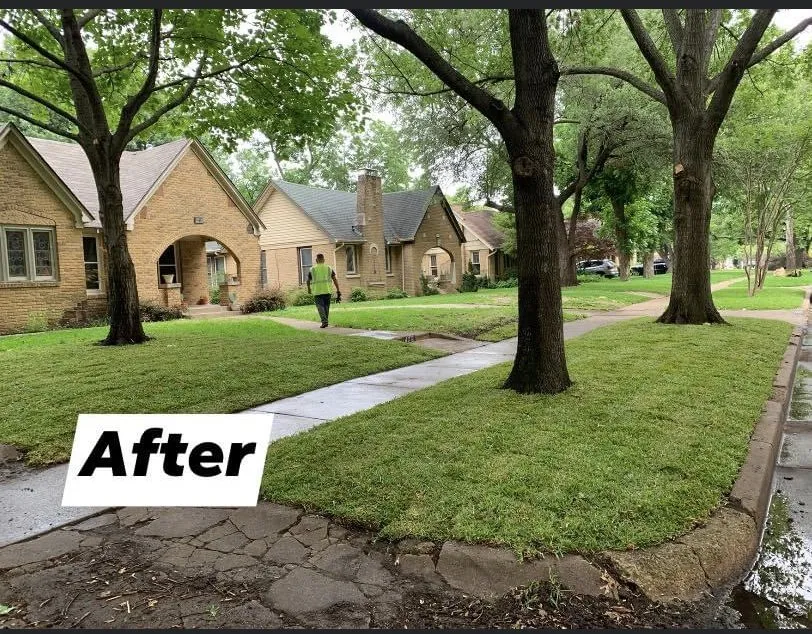 Affordable yard maintenance near you in Dallas, TX by Vargas Landscape and Sprinklers