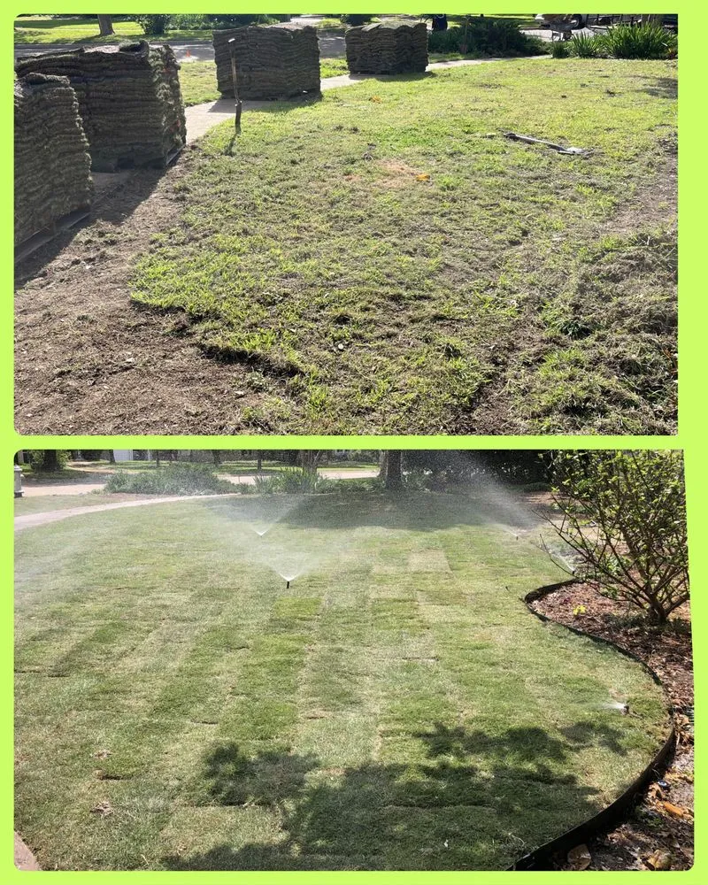 Expert yard maintenance in Dallas, TX - Vargas Landscape and Sprinklers