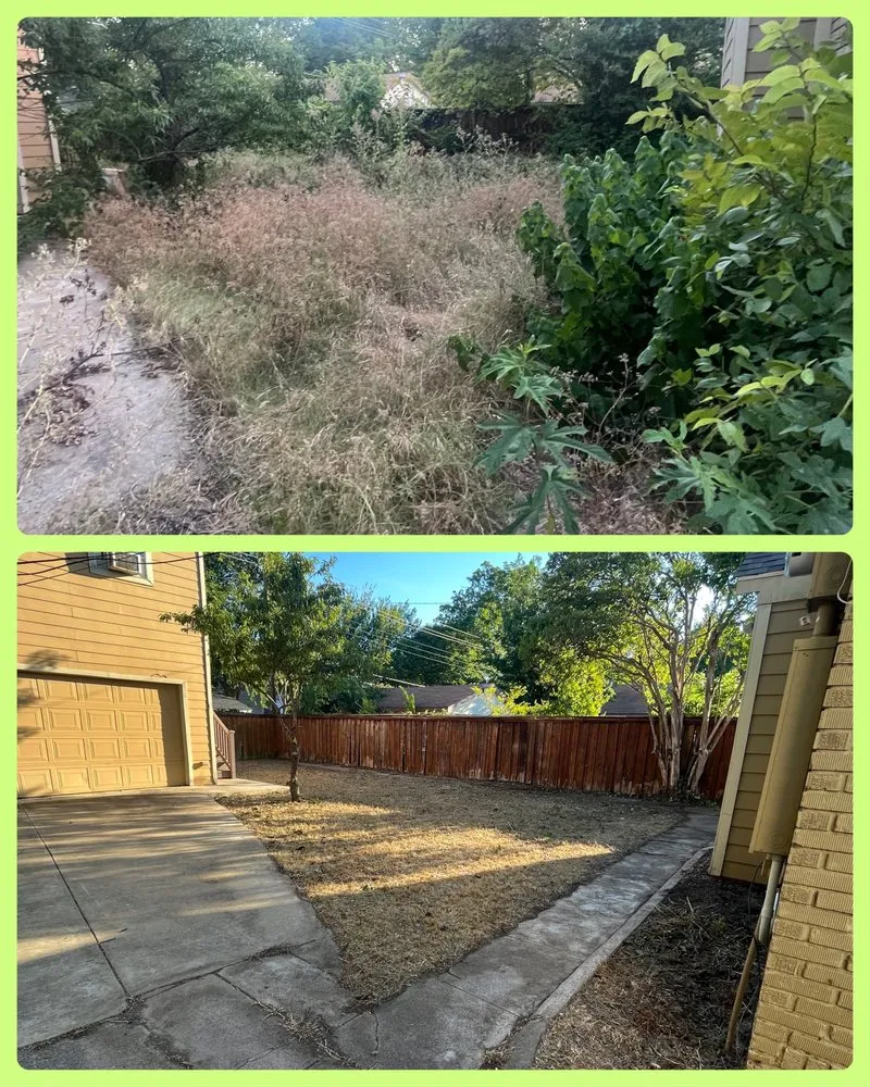 Custom yard cleanup service for year-round maintenance in Dallas, TX by Vargas Landscape and Sprinklers