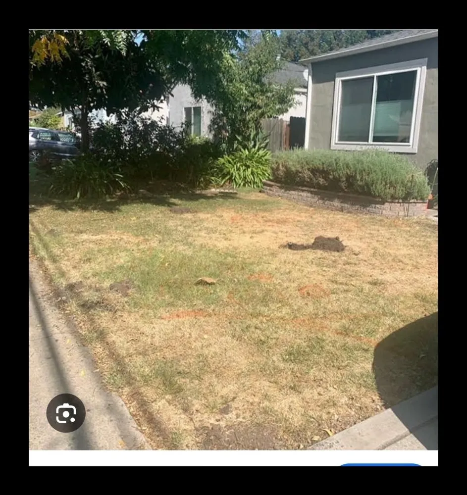 Trusted lawn care service experts serving Carson City, NV - VARGAS Landscape