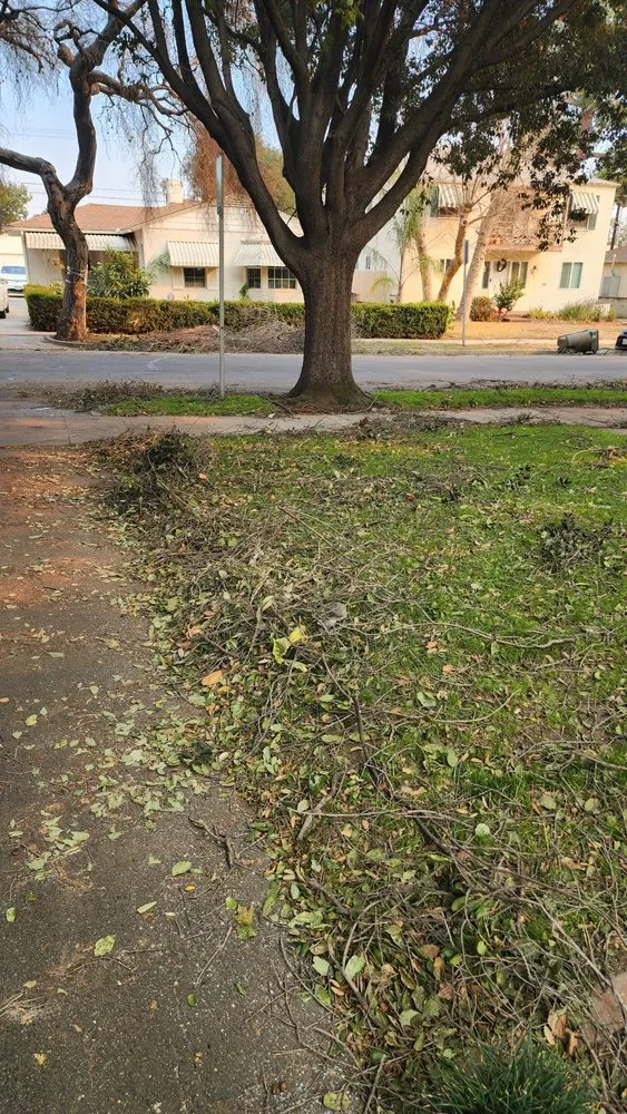 Reliable landscape design for beautiful yards in Covina, CA by Vargas Landscape