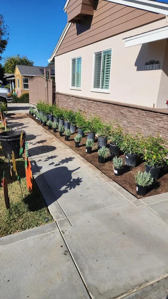 Trusted residential landscaping for beautiful yards in Covina, CA by Vargas Landscape