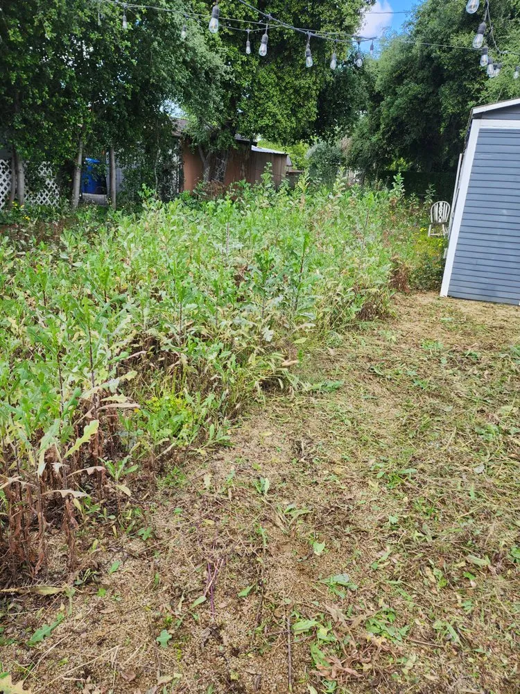 Custom residential landscaping with custom design in Covina, CA by Vargas Landscape