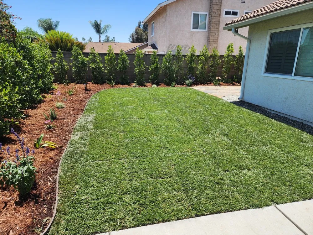 Trusted residential landscaping for beautiful yards across Covina, CA - Vargas Landscape