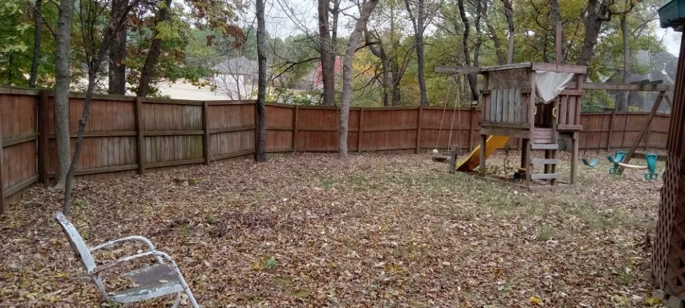 Professional lawn care service in Fayetteville, AR by Vargas Landscape