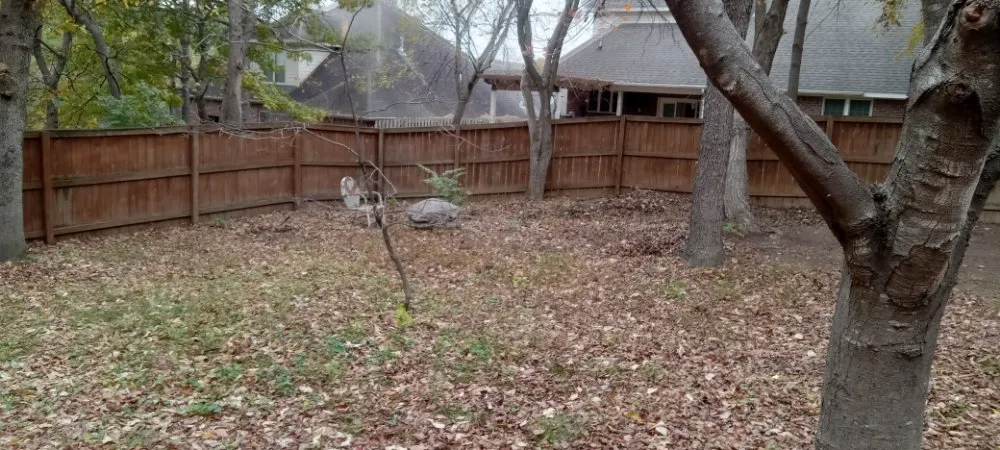 Expert residential landscaping in Fayetteville, AR - Vargas Landscape