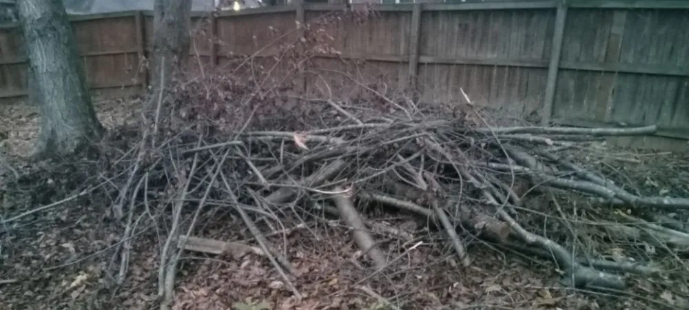 Reliable yard cleanup service in Fayetteville, AR by Vargas Landscape