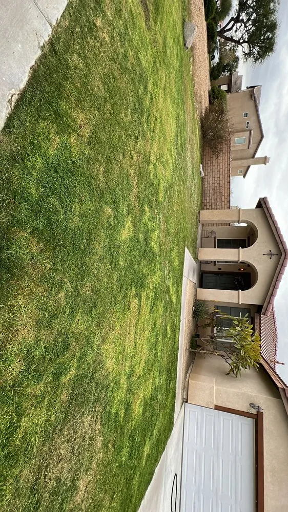 Reliable lawn care service for homes in Mecca, CA by Vargas Landscape