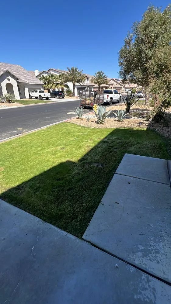 Local yard maintenance experts serving Mecca, CA - Vargas Landscape