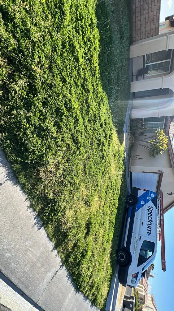 Custom yard maintenance in Mecca, CA by Vargas Landscape