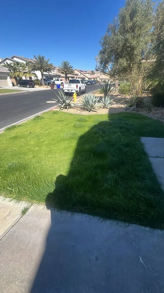 Custom outdoor landscaping experts serving Mecca, CA - Vargas Landscape