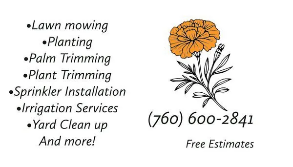 Local landscape design for beautiful yards across Mecca, CA - Vargas Landscape