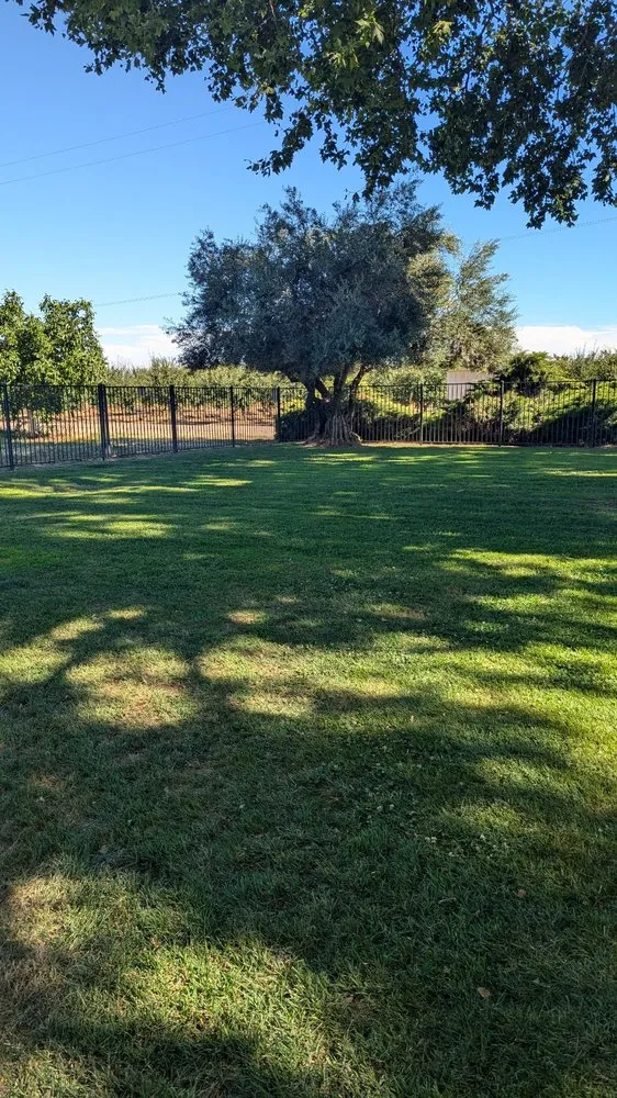 Local garden landscaping for outdoor upgrades across Sutter, CA - Vargas Landscape