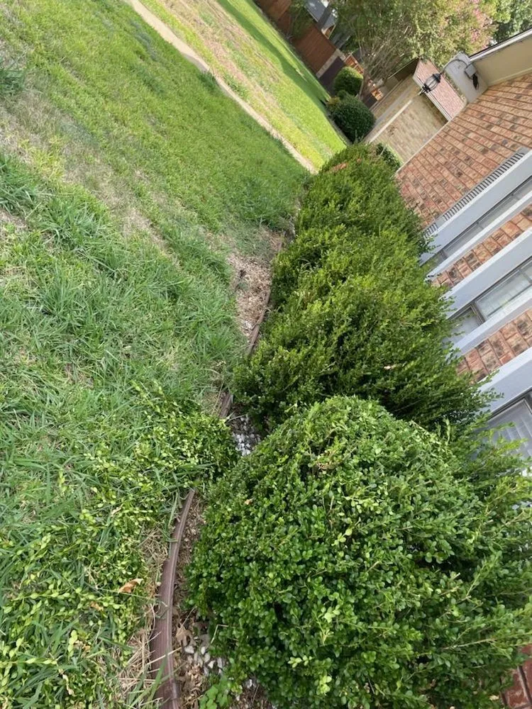 Trusted landscape installation in Wylie, TX by Vargas Landscape