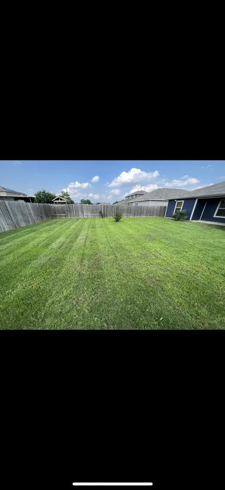 Top-rated landscaping services for outdoor upgrades in Dallas, TX by Vargas Landscaping & Construction