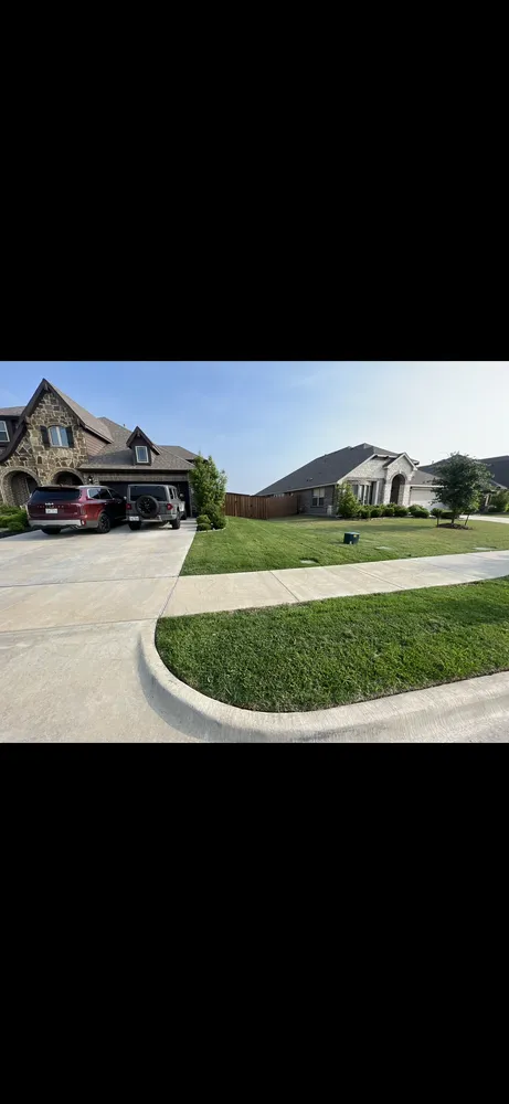 Custom yard cleanup service for year-round maintenance across Dallas, TX - Vargas Landscaping & Construction