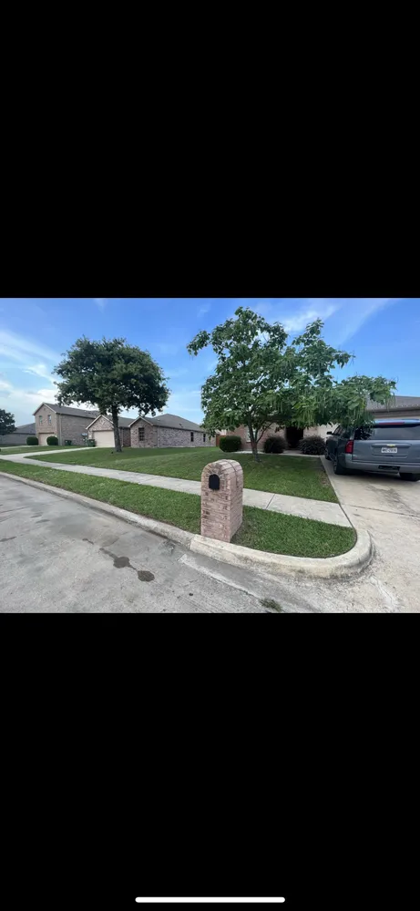 Custom yard maintenance for outdoor upgrades in Dallas, TX by Vargas Landscaping & Construction