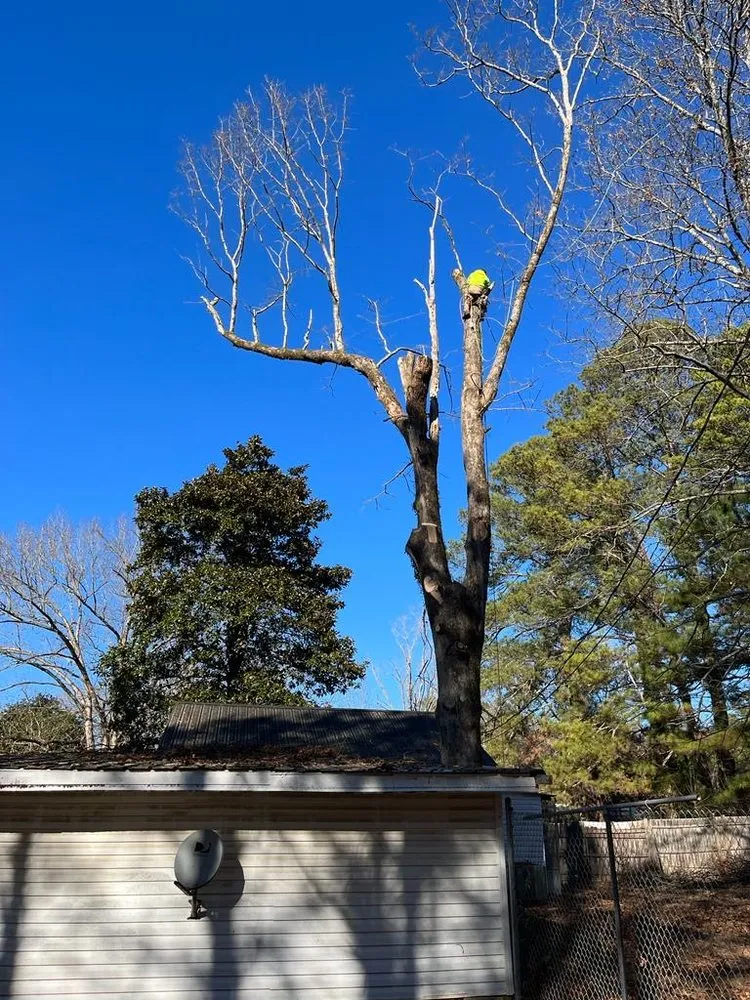 Local landscape installation experts serving Carbon Hill, AL - Vargas Landscaping & Tree Service