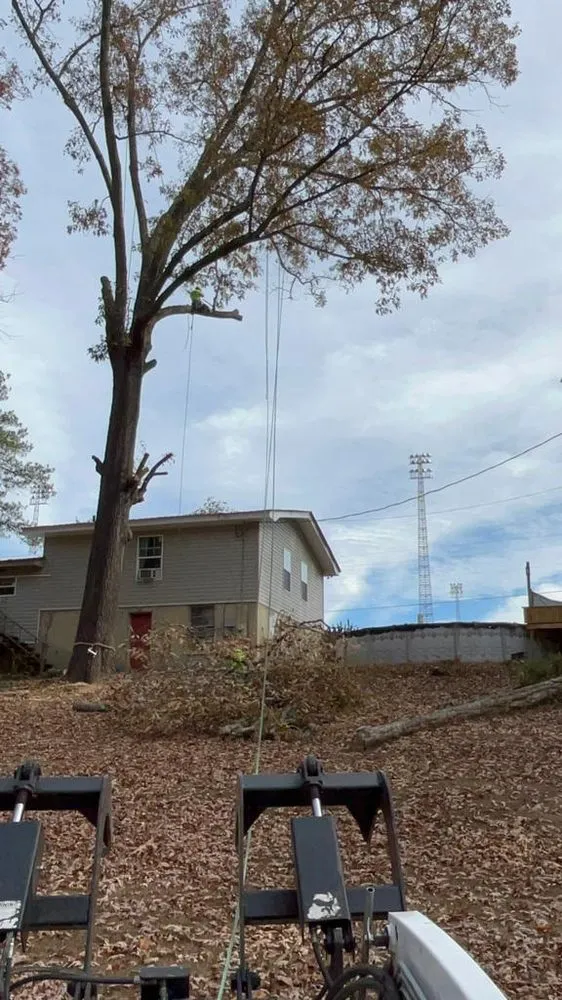 Local lawn mowing service for homes in Carbon Hill, AL by Vargas Landscaping & Tree Service