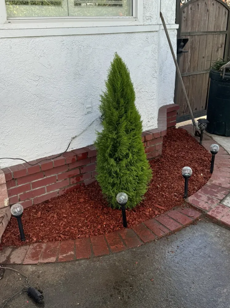 Local landscape design for homes across Compton, CA - Vargas Landscaping