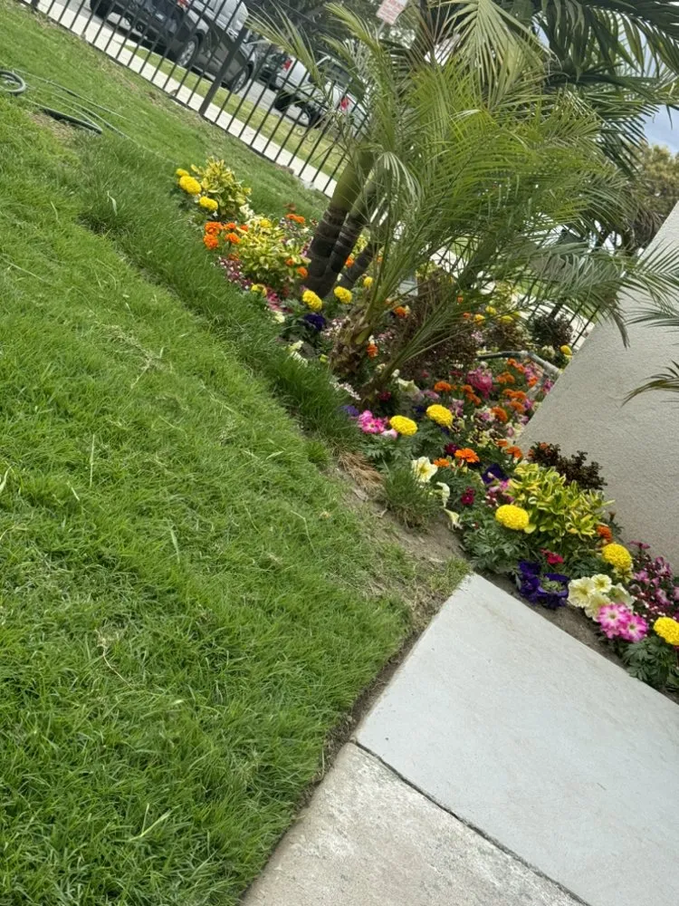 Reliable landscape design experts serving Compton, CA - Vargas Landscaping