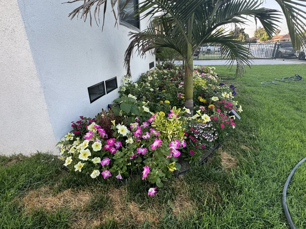 Affordable yard maintenance in Compton, CA by Vargas Landscaping