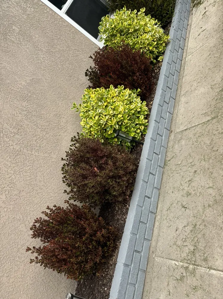 Reliable landscape installation for year-round maintenance across Compton, CA - Vargas Landscaping