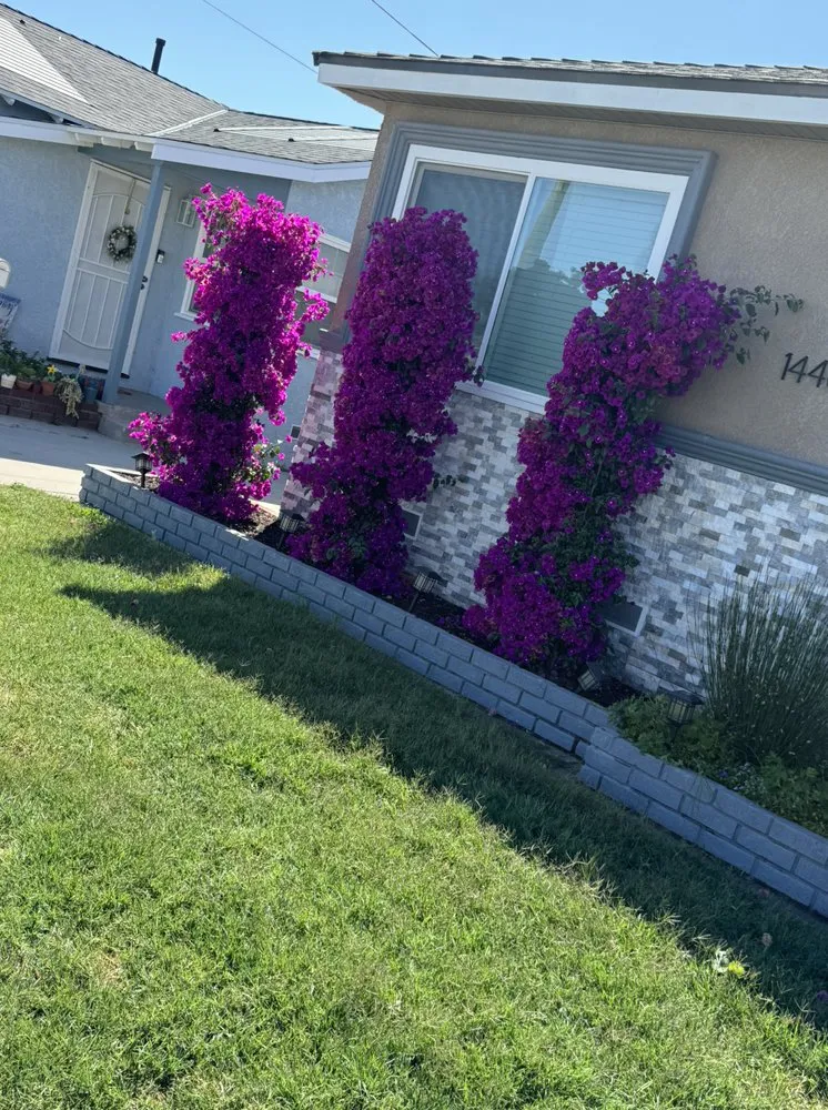 Expert lawn mowing service experts serving Compton, CA - Vargas Landscaping