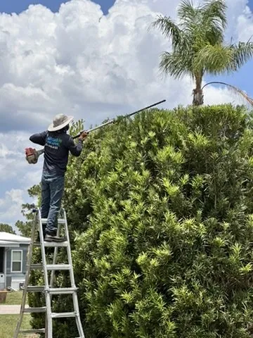 Top-rated landscape design in Fort Myers, FL by Vargas Landscaping