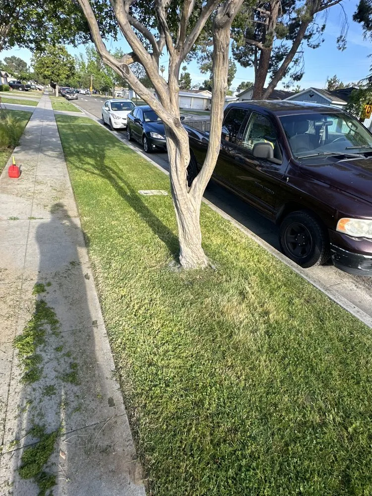 Affordable landscape design experts serving Fresno, CA - Vargas Landscaping