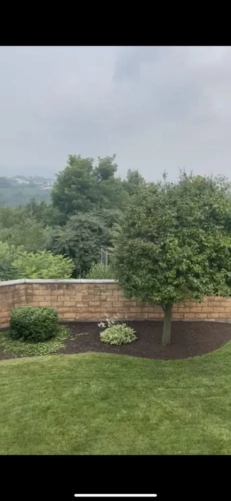Expert landscaping services experts serving Scranton, PA - Vargas Landscaping