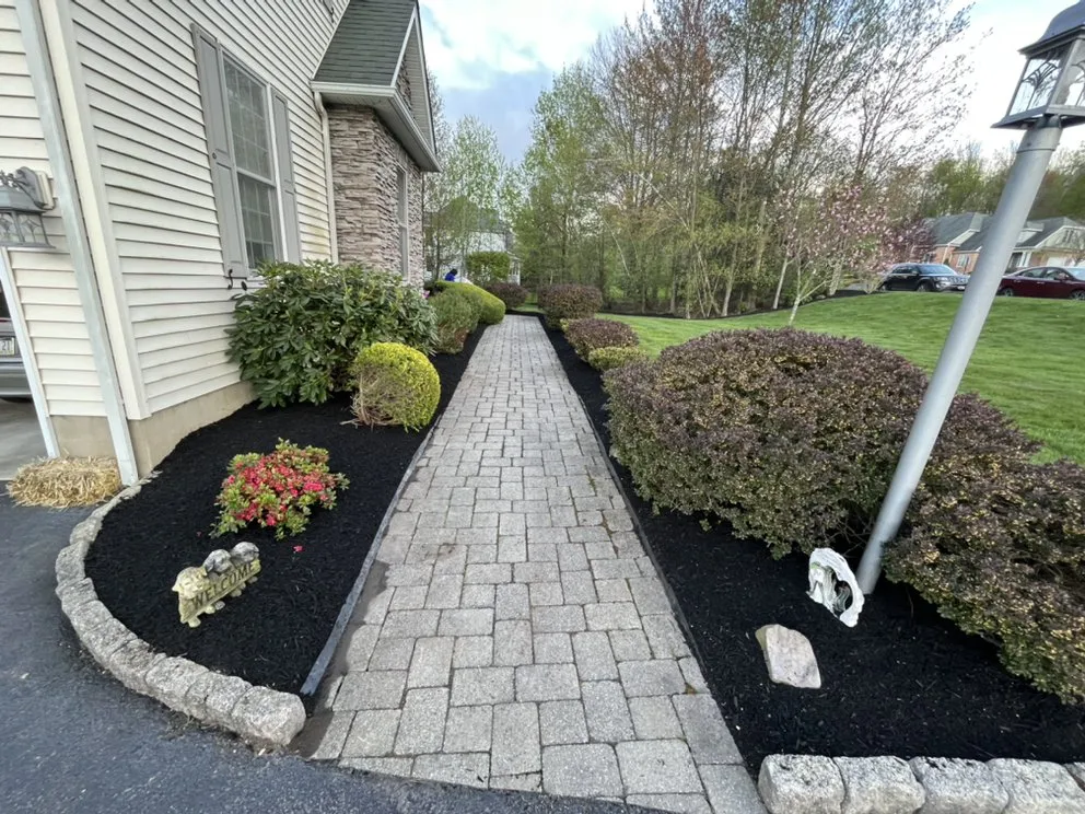 Trusted lawn care service near you in Scranton, PA by Vargas Landscaping
