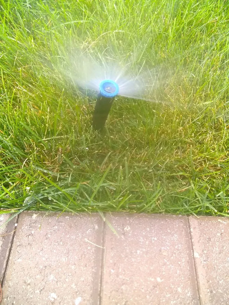 Local yard cleanup service in Scranton, PA - Vargas Landscaping