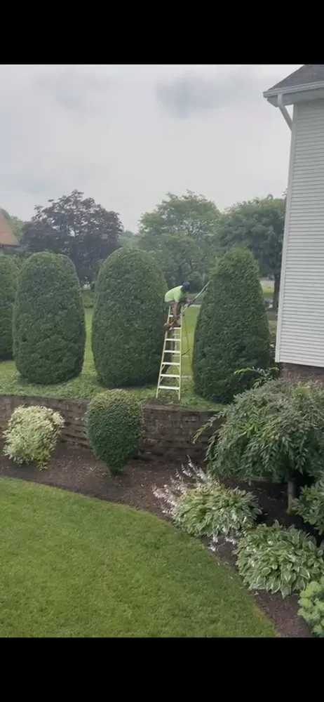 Top-rated landscape design in Scranton, PA - Vargas Landscaping