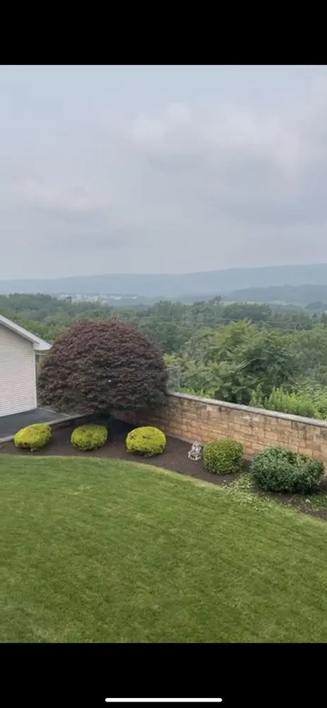 Professional residential landscaping in Scranton, PA by Vargas Landscaping