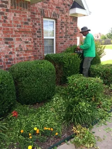 Local yard maintenance for residential properties in Springdale, AR by Vargas Landscaping