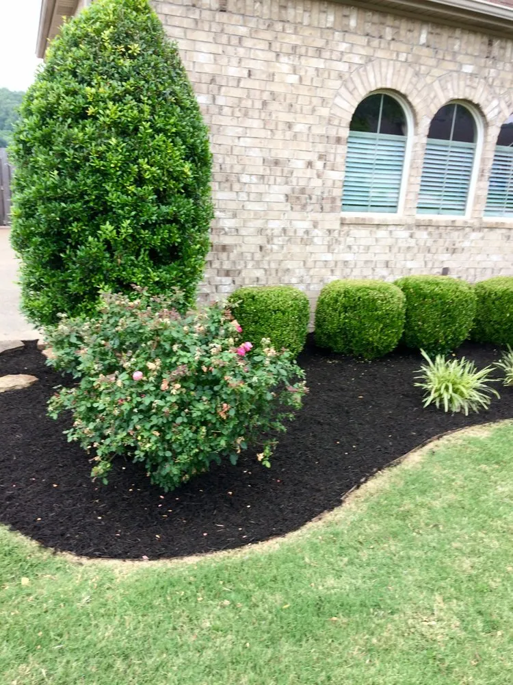 Professional landscape installation in Springdale, AR - Vargas Landscaping