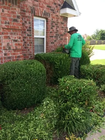 Professional landscaping services for outdoor upgrades in Springdale, AR by Vargas Landscaping