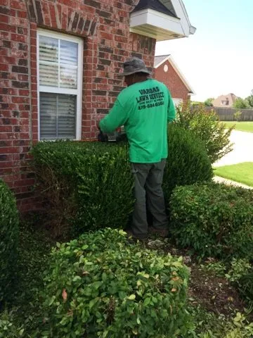 Top-rated lawn mowing service experts serving Springdale, AR - Vargas Landscaping