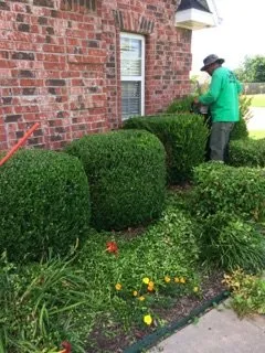 Reliable yard maintenance in Springdale, AR - Vargas Landscaping