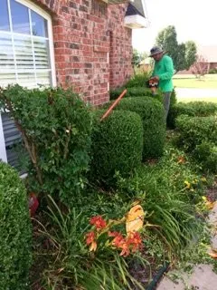 Custom lawn care service experts serving Springdale, AR - Vargas Landscaping