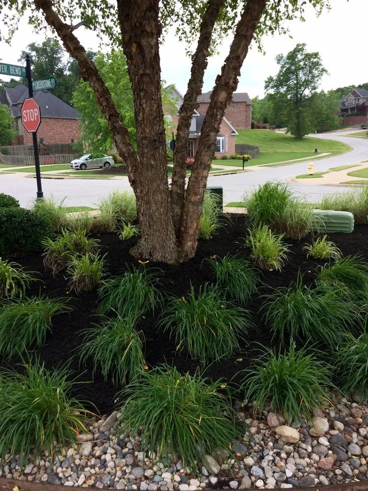 Expert landscape installation for residential properties in Springdale, AR by Vargas Landscaping