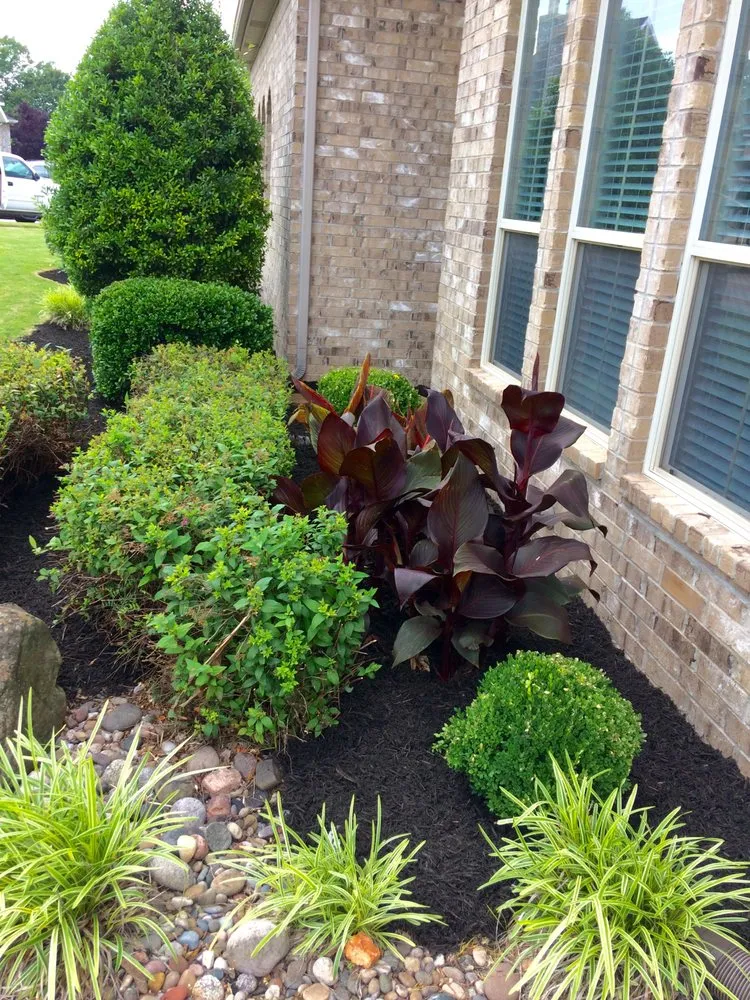 Local landscaping services in Springdale, AR by Vargas Landscaping