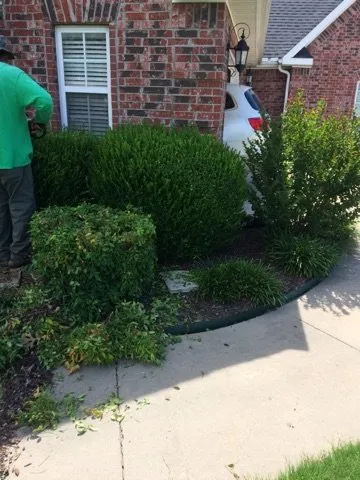 Top-rated landscaping services for residential properties across Springdale, AR - Vargas Landscaping