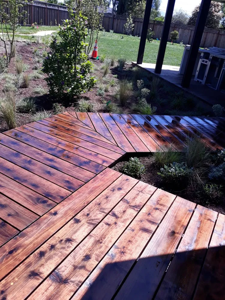 Affordable yard maintenance experts serving Watsonville, CA - Vargas Lanscaping & Construction