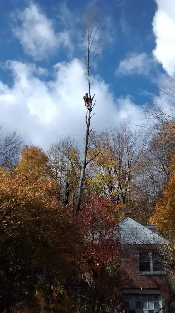 Local outdoor landscaping experts serving Poughkeepsie, NY - Vargas Outdoor Comfort