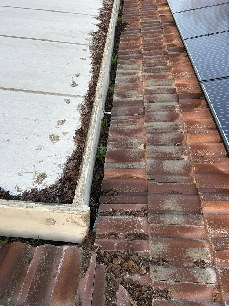 Expert landscape design in Fairfield, CA - Vargas Ponce Landscaping