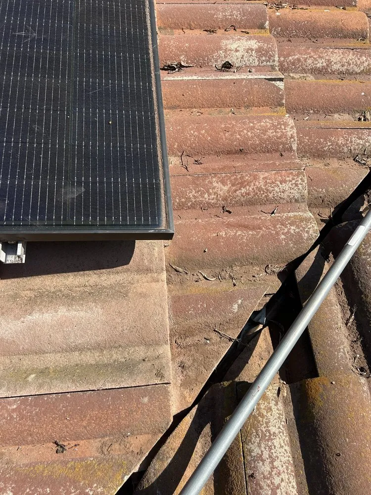 Reliable lawn care service experts serving Fairfield, CA - Vargas Ponce Landscaping