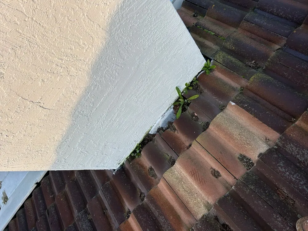 Reliable garden landscaping experts serving Fairfield, CA - Vargas Ponce Landscaping